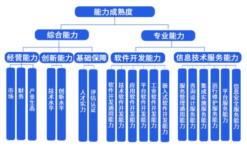 中科大旗榮獲成都市信息技術(shù)咨詢服務(wù)能力成熟度三級認證